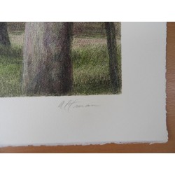 Harold ALTMAN - Lithographie : Printemps à Central Park