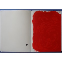 Joan MIRO - DLM 193/194 LUXE - Lithographie - Peintures sur Papier - Dessins