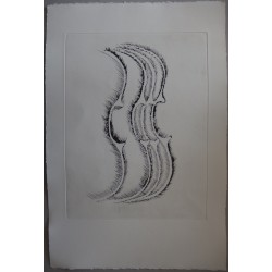 ARMAN - Gravure originale : Profil de Violon