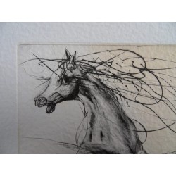 Jean-Marie GUINY - Gravure signée : Le cheval cabré