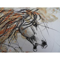 Jean-Marie GUINY - Gravure signée : Le cheval Pablo