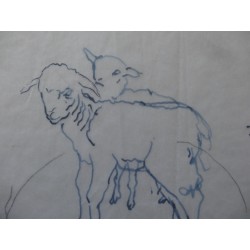 FOUJITA Léonard (Tsuguharu) - Dessin : Etude de moutons