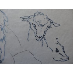 FOUJITA Léonard (Tsuguharu) - Dessin : Etude de moutons