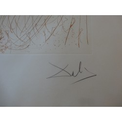 Salvador DALI : Gravure signée - La Naissance de Vénus