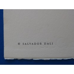 Salvador DALI - Gravure signée : Les 12 Tribus d'Israel