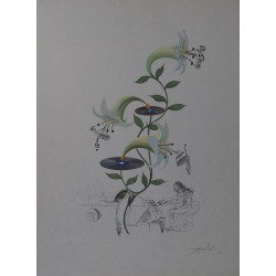 Salvador DALI - Gravure signée (Flora Dalinae) : Lys - Lilium musicum