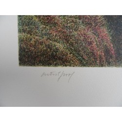 Harold ALTMAN - Lithographie : Automne à Central Park